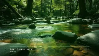 Soft Reflections #LoFiChill  No Copyright Music