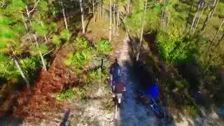 Trail Riding on 30A: Longleaf Pine Trail