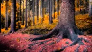 Trance Arts - Twisted Tales (original mix)