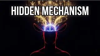 What Actually Happens In Our Brain During A Ritual
