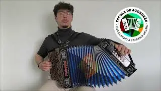 A Bela Portuguesa em concertina
