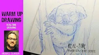 Drawing Koala bears warm up drawing series