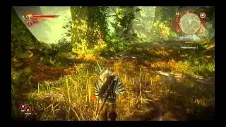 30. Let's Play The Witcher 2: Assassins of Kings - The Ostmurk Cave