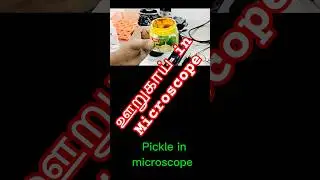 ஊறுகாய் in microscope, வாங்க பார்க்கலாம்,just a experiment,Let's start#lab#science #microscope