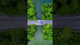 4k nature short videos #4k #hdnature #4khdr #short #shorts viral