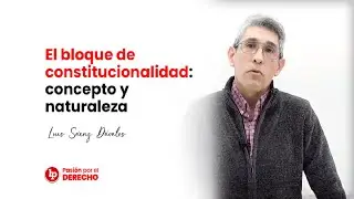 El bloque de constitucionalidad: concepto y naturaleza, por Luis S&aacute;enz D&aacute;valos