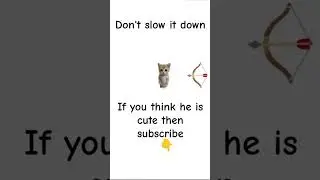 🐈😿 SUBSCRIBE AND SAVE ME😭#subscribe #comment #SHARE #LIRE #shortsfeed #shorts