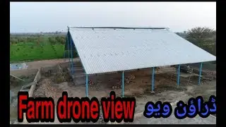 Dairy Farm Drone view|Agriculture farm view|Pakistan Punjab village|Drone