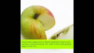 Beloved Heirloom Apple | Gravenstein Fruit Facts