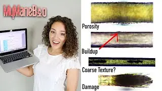 In-Depth Hair Analysis Results from MyManeBio | Accurate Porosity Test, Protein & More