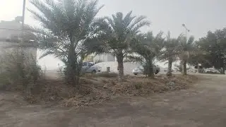 Travelling In Bahrain Bus