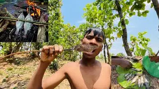 fish feeding vlog hindi | fish feeding cooking in forest | fishing in the river found strawberries