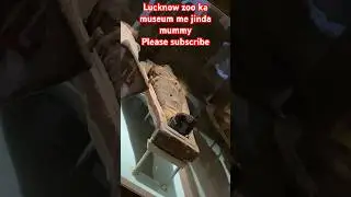 Lucknow ￼zoo  Museum ￼me rakhi hai jinda mummy // #lucknow #zoo #lucknowzoo #youtubeshorts #trending