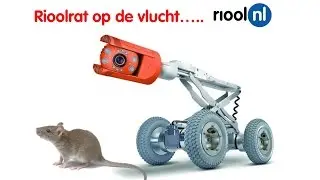 Angstige RIOOLRAT op de vlucht voor onze IBAK PANORAMO camera