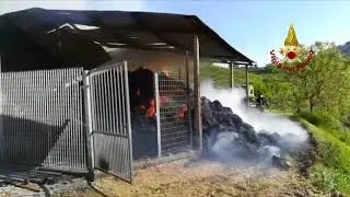 Fienile in fiamme a Ripatransone, l'intervento dei pompieri (vigilfuoco AP)