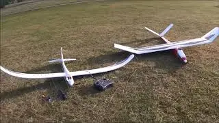 Easter Eagle and Skysurfer Gliders