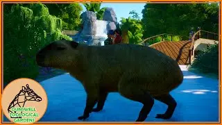 CAPYBARA SPRINGS || EP19 || DUNSWELL ZOO