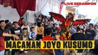 MACAN_MACANAN SENIJARANAN JOYOKUSUMO BOYOLANGU LIVE SERAMPON