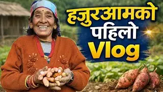 हजुरआमाको First Vlog 🥔 | Sweet Potato Digging | Maghe Sankranti Special