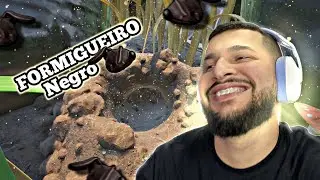 ENTRAMOS no FORMIGUEIRO das FORMIGAS NEGRAS | GROUNDED GAMEPLAY ep 13