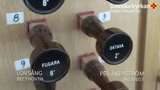 Orgelsommar Rystad