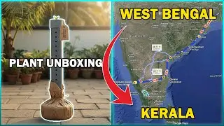 West Bengal Plants Unboxing in Kerala! Will they survive? Mind-Blowing PVC Pipe Plant Packaging!