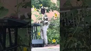 Tony Exum Jr. Live