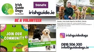 Irish Guide Dogs for the Blind - Donate - guidedogs.ie - Volunteer