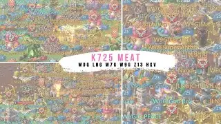 Lords mobile 王國紀元- K725 Meat