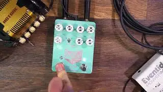 Southampton Pedals   Indie Dream Overdrive + Reverb/Delay