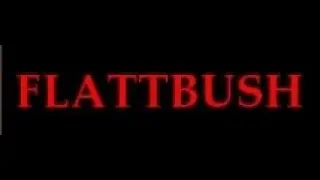 FLATTBUSH - EXPOSE OPPOSE (1997)