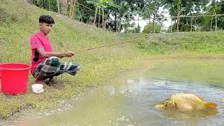Best Hook Fishing 2022 | Traditional By Catching fish By Hook🐟Fishing🦈 Part~4