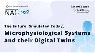 MPSlabs. Microphysiological systems and their digital twins