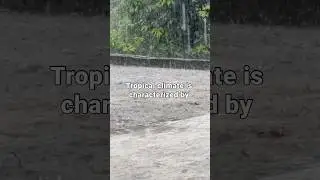 What Defines the Tropical Climate? 🌴🌞 #TropicalClimate #ClimateScience #TropicalWeather