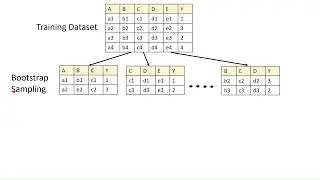 Random Forest Algorithm | Machine Learning | 14 | Tamil