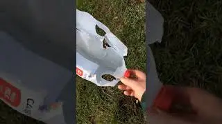 Marlin 1894 SBL .44 magnum/ Hornady 240gr XTP/ 23.8gr H110:  Ballistic H20 test..