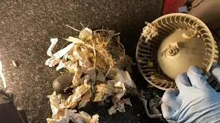 96-00 Honda Civic Blower Motor Fix ! DIY