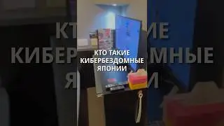 Кто такие &laquo;кибербездомные&raquo; Японии
