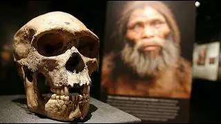 Humans Didn't Migrate Out of Africa 60,000 Years Ago