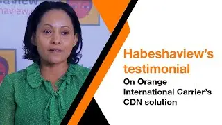 Orange International Carriers Customer testimonials: Habeshaview