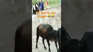 STRUGGLE //GHR JATE TIME 😂😂//#littlevlog #rain #haevy
