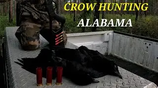 Best Cure for the off Season Blues? CROW HUNTING