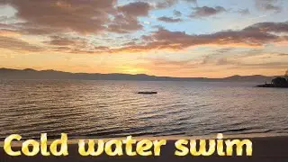 cold water swimming Hobart