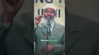 Why muslim countries unable to help palestine against israel?