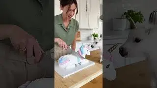 &ldquo;Fake Unicorn Cake Challenge! 😂🦄&rdquo;
