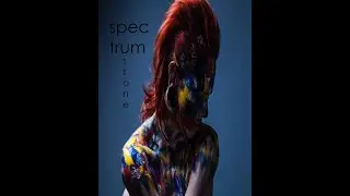 Stone -Spectrum (punk rock/noise rock)
