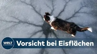 BETRETEN VON EISFLÄCHEN: Was muss bei gefrorenen Seen beachtet werden? - DLRG erklärt
