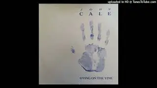 John Cale - Dying On The Vine