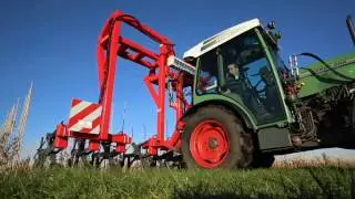QuickHedge instant hedges - kant en klaar hagen - fertig hecken - haies pretes a planter