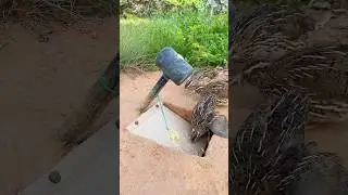 Amazing New Quail Trap / DIY Bird Trap #shorts